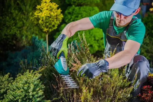 landscaping services Voorheesville